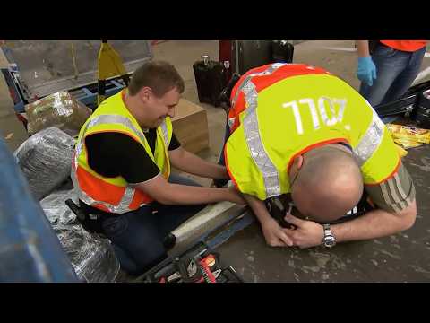 Razzia am Flughafen: Was der Zoll alles findet wird dich schockieren!