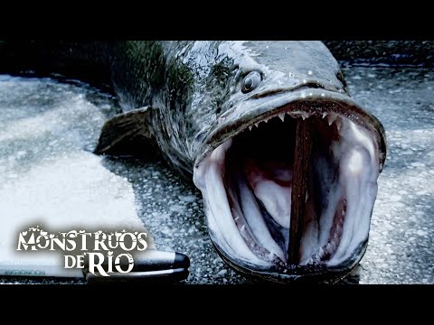 Devorador de Humanos: Respira Aire y Se Arrastrarse por la Tierra | T2 E01 | Monstruos de Río
