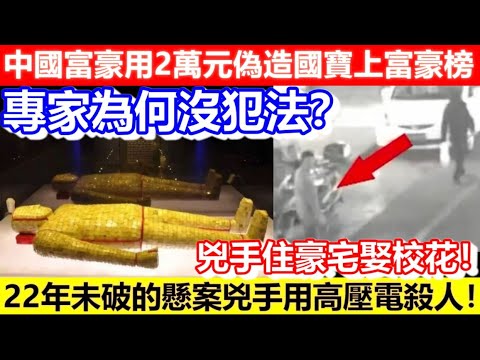 🔴中國富豪用2萬元偽造國寶上富豪榜！專家為何沒犯法？22年未破的懸案兇手用高壓電殺人！兇手住豪宅娶校花！｜CC字幕｜Podcast｜日更頻道 #東張西望 #何太 #何伯 #李龍基