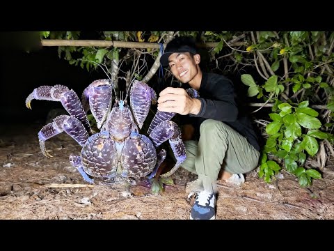 澳洲北部群島生存挑戰（1）！自己DIY建豪華庇護所，設陷阱抓到巨型椰子蟹，省了幾千元【探索兄弟】