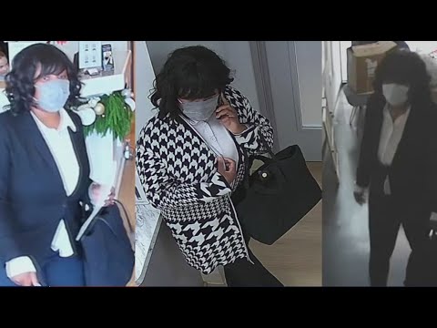 Woman accused of posing as a patient, then stealing from doctors offices