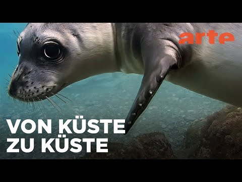 Griechenland | Raue Welten - Wilde Schönheiten | ARTE Fernweh