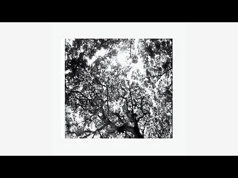 fitterkarma - Pambihira (Official Lyric Video)