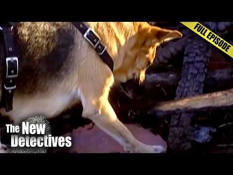 Detective Dogs: Crimes Solved with a Canine Scent | The New Detectives