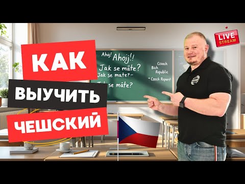 Чешский язык с нуля: лучшие советы для быстрого прогресса.