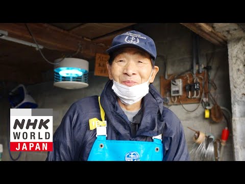 To Preserve and Protect - Through the Kitchen Window