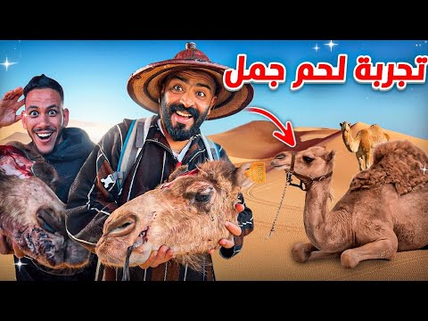 وثائقي: جولة في اكبر سوق شعبي ماكولات الشارع في المغرب 🇲🇦 جربنا أكل لحم الجمل لأول مرة 😋‼️