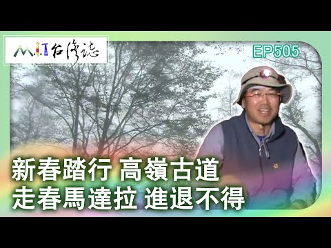 【MIT台灣誌 #505】新春踏行 高嶺古道~走春馬達拉 進退不得_1080p