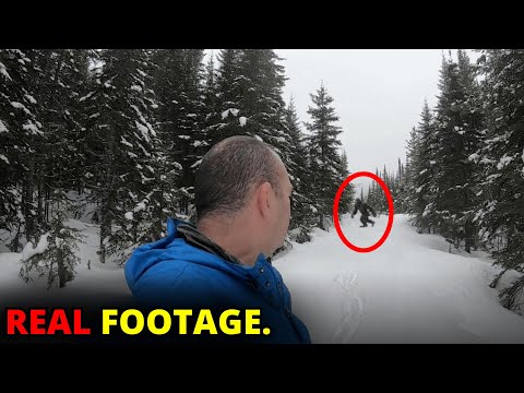 31 SCARIEST Bigfoot Encounters Caught While Hiking | Scary Comp V294