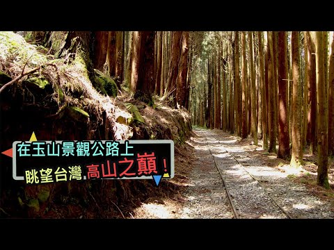 探秘台灣最壯觀的高山路線:新中橫玉山公路 玉山/阿里山/特富野古道/塔塔加鞍部/鹿林山自然公園/東埔溫泉|台灣百大景點系列(一)