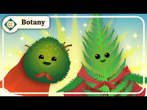 Why Don't These Plants Need Seeds? (Moss and Ferns): Crash Course Botany #8