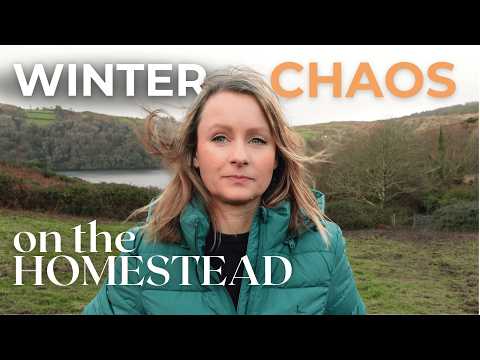 ATTEMPTING self sufficiency on our Irish homestead in winter