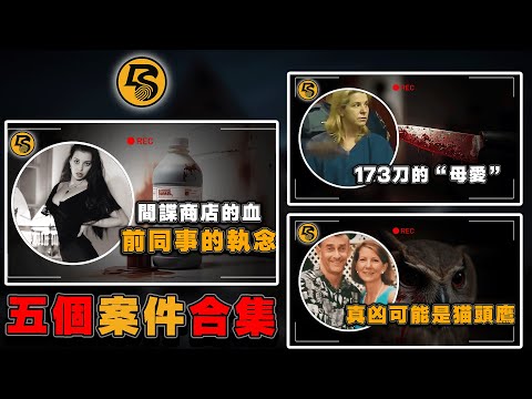 汏叔案件合集丨真實案件丨駭人案件丨真實犯罪丨長視頻丨合集丨案件故事丨