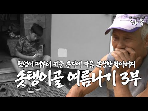 [다큐 ‘가족’ 392회 3부] 부모 이혼 후 백일 때부터 키운 훌쩍 커버린 손자에 이제 눈 감고 죽을 수 있다는 78살 할아버지