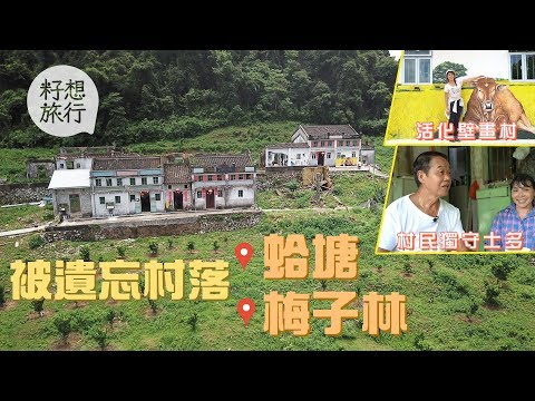 新界東北百年古村梅子林蛤塘　村民獨守士多煮農家菜：幾辛苦都要復村 #遊嚐假期