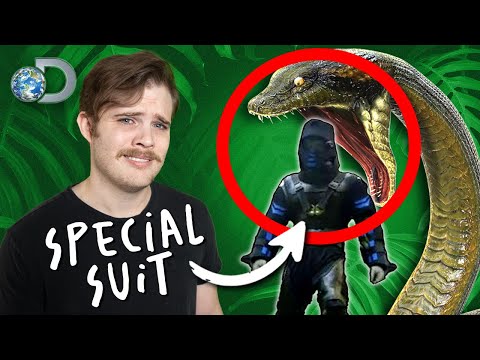 When Discovery Lied About a Guy Being "EATEN ALIVE"