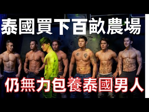 泰國購買百畝農場全過程（話題：【包養泰國男孩究竟得有多少錢】泰國情色業發達真的是因為貧窮嗎）為何現在的我還沒這個包養男人的實力！