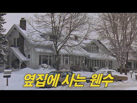 두 노인의 유쾌한 신경전 속 소소한 웃음이 피어나는 90년대 로맨틱(?) 코미디 영화 [영화리뷰/결말포함]