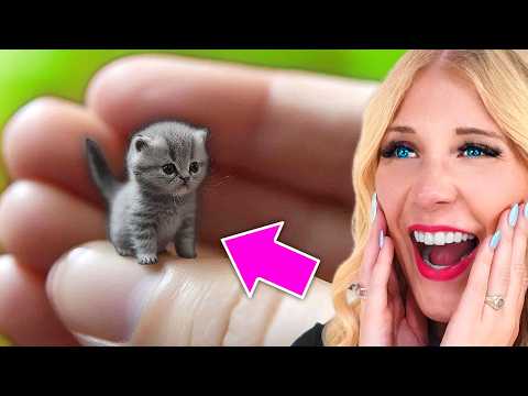 Try Not To Say Aww! *IMPOSSIBLE*