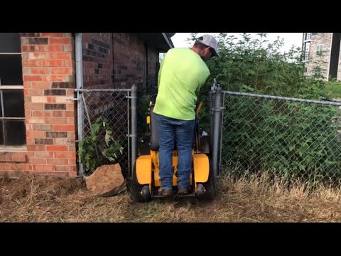 These yards were overgrown nightmares