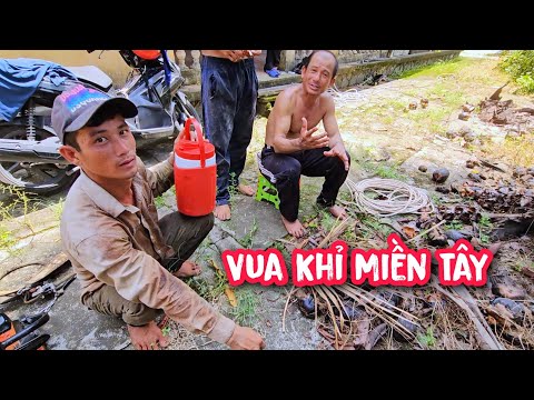 Monkey King and a group of workers saw and prune many large Sao Dau trees in Long An.