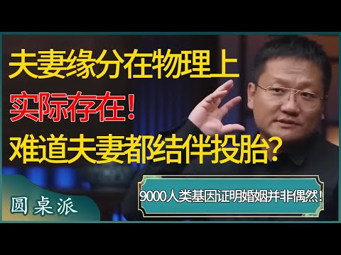 夫妻缘分在物理意义上实际存在！9000对人类基因证明，婚姻并非偶然！难道夫妻都结伴投胎？ #窦文涛 #梁文道 #马未都 #周轶君 #马家辉 #许子东 #圆桌派 #圆桌派第七季