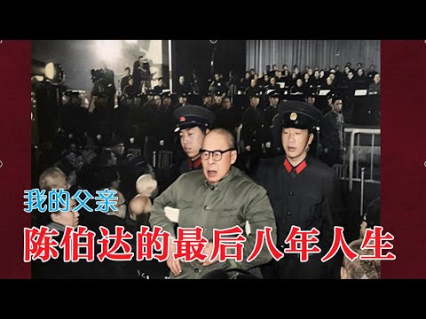 陈伯达的最后人生八年 | 我的父亲陈伯达