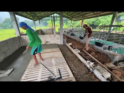 Pigpen Update: Na-delay ang Flooring Dahil sa Ulan! 🌧️