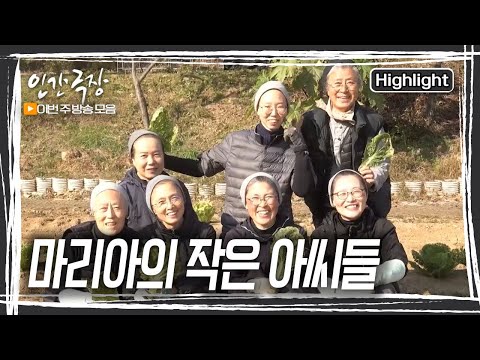 가난하고 약하고, 소외된 생명들을 위해 작은 등대가 되어주고 싶은 일곱 수녀들. 서로를 단단하게 보듬으며 삶을 꾸려가는 수녀님들을 만나보자. [인간극장] KBS 방송