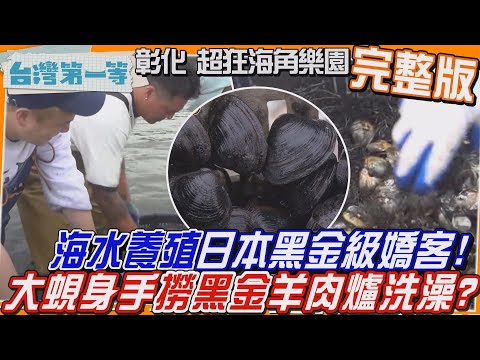 [全新] 彰化【日本黑金級嬌客!大"蜆"身手撈黑金 海水養殖、熱水一沖就能吃?!/夠醇夠香"自然發酵臭豆腐"正港夠味!/羊肉爐洗澡!沐浴在美食中?!】│2024.09.15│《台灣第一等》完整版