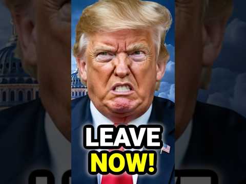 Trump Sends BRUTAL WARNING After Dems THREATEN to Leave AMERICA Because he's PRESIDENT