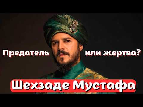 Казнь наследника. Реальная история шехзаде Мустафы