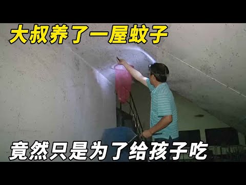 Uncle kept a room full of mosquitoes to feed his children. How can he sleep at home! Yuebei movie]