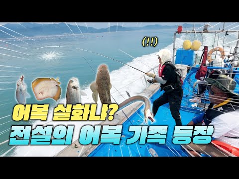 황가오리부터 갯장어까지?! 이 가족 어복 무엇? 바다에서 진짜 행복을 낚은 껌딱지 부부와 딸의 낚시 현장