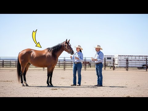 He Paid $200 for a Kill-Pen Horse — Then the Vet Noticed One Detail #horse 