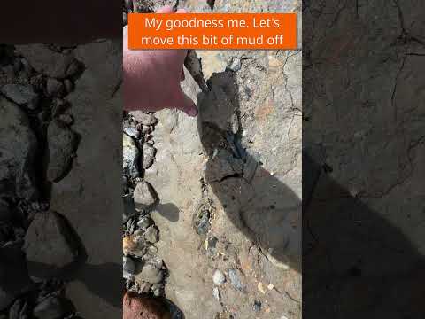 Searching for Clay Tobacco Pipes on the River Thames - Mudlarking the River Thames