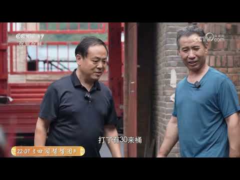 《共富经》 20251215 甜蜜日子酿出来 | 农业致富经 Agriculture And Farming