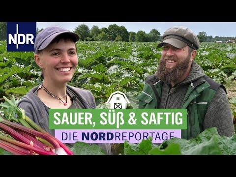 Immer beliebter im Norden: Leckeres aus Rhabarber | Die Nordreportage | NDR