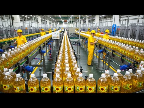 From Seeds to Bottles: Sunflower Oil Journey