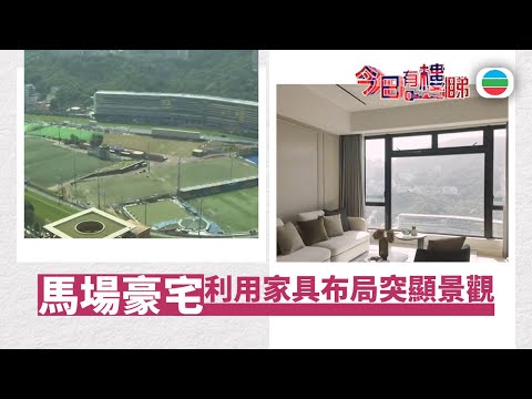 TVB今日有樓睇｜2025年12月26日｜利用家具布局突顯景觀｜樓市｜樓盤