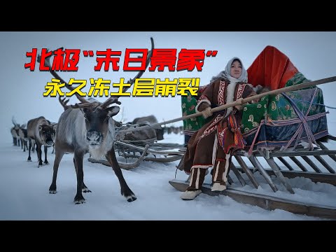 北極「末日景象」實錄：永凍土層崩裂巨型峽谷，飢餓北極熊闖城鎮覓食