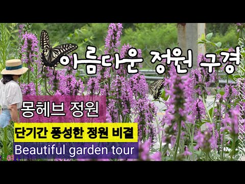 3,000평 정원을 2년만에 풍성하게 알뜰하게 꽃 채우는 비결 소개/ 대형정원을 단기간에 식물 늘려서 가꾼, 비법 꿀팁들!