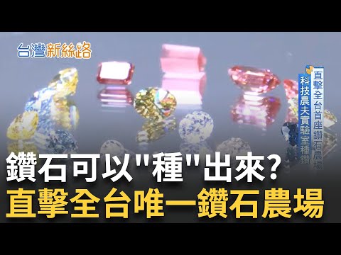 台灣造鑽石農場! 不只珠寶還能做晶片? 人工鑽石變科技心臟! 半導體.量子都靠它│【台灣新思路】20250720｜三立iNEWS