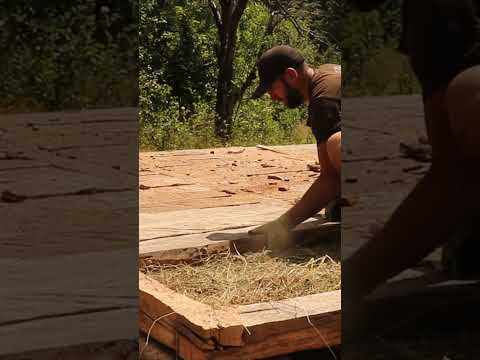 Bushcraft solo #camping  #bushcraft #survival #building Part - 1
