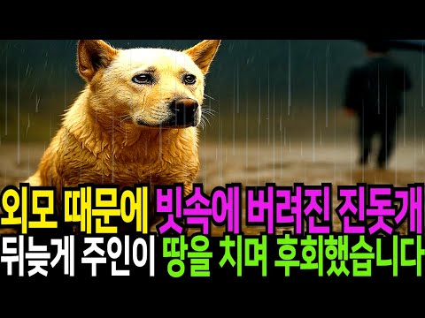 외모 때문에 주인에게 버림받은 개, 뒤늦게 주인이 땅을 치고 후회했습니다!