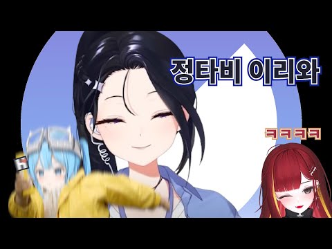 이브님에게 히ㅌ미를 알려준 정타비