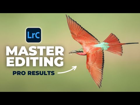 7 Lightroom Tricks I Can’t Live Without