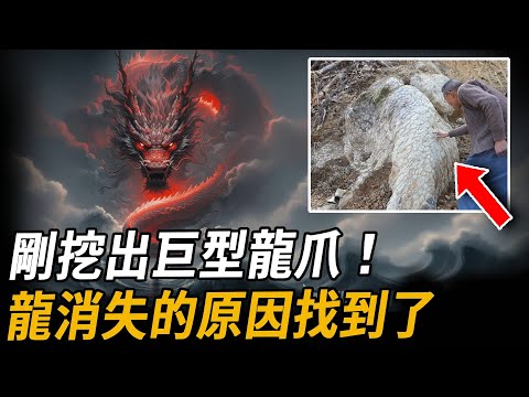 剛挖出巨型龍爪！整整5公尺！為什麼現實生活中找不到龍，這下真相全大白了！揭開墜龍事件的另一個真相！ 《史記》驚人記載上古龍族消失的真正原因| 腦補大轟炸