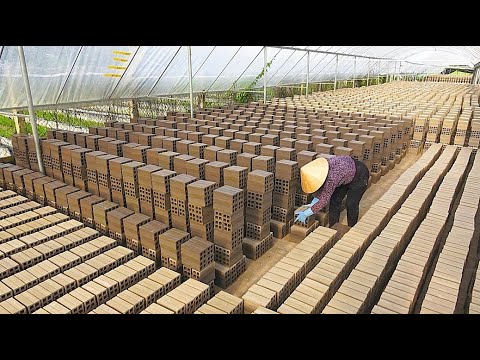 This is Vietnamese style! Shocking mass production of bricks