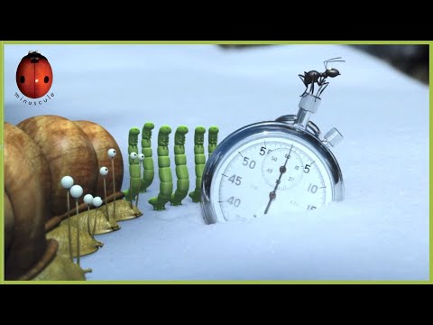 It's a tie! | Minuscule 🍃 50' Compilation